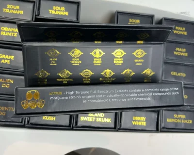GAS GANG HTFSE VAPE PEN - Image 4